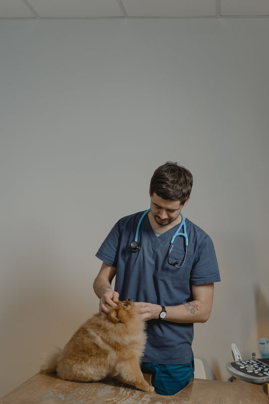 Veterinary Consultation